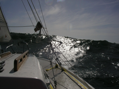sail 10.jpg - 61028 Bytes